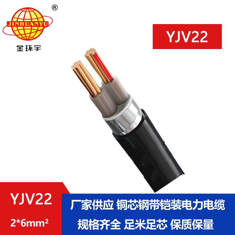 金環(huán)宇電線電纜 中低壓鎧裝電力電纜 2芯YJV22 2