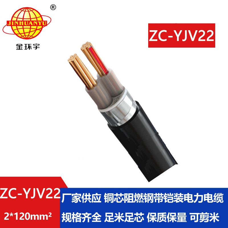 金環(huán)宇電纜 ZC-YJV22 2X120平方 交聯(lián)阻燃電纜 鋼帶鎧